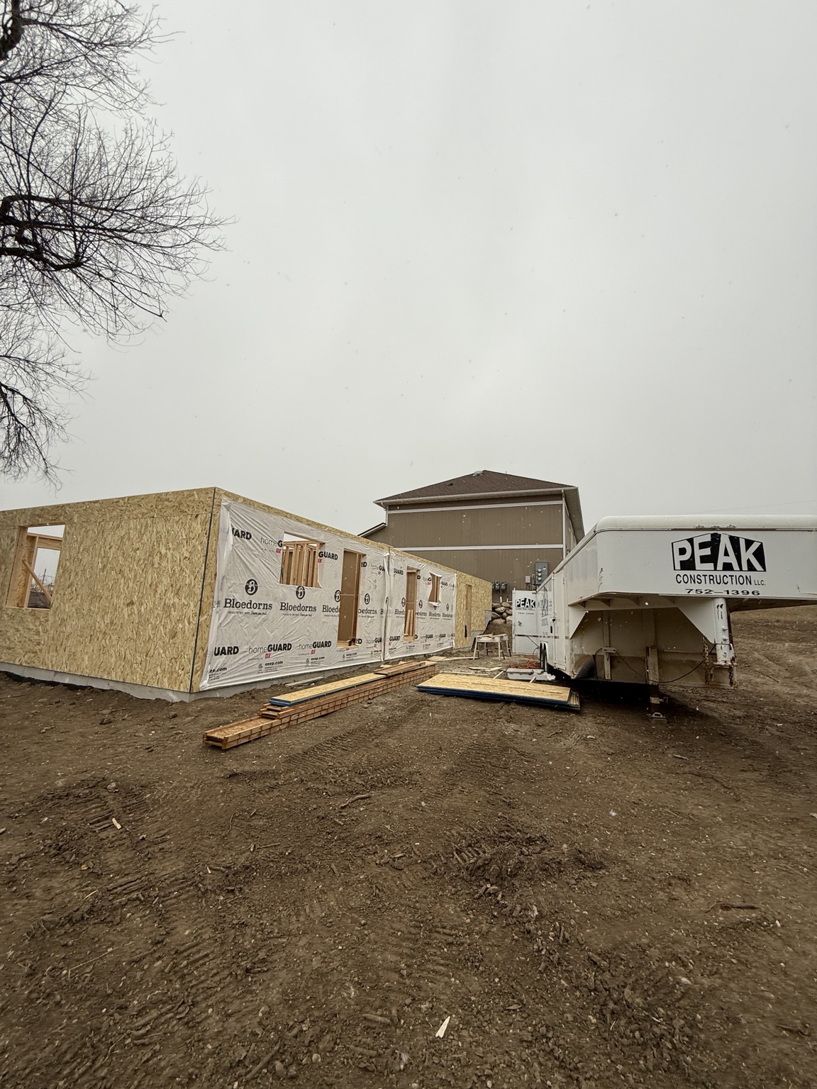 Wall framing and sheathing during the early stages of construction.